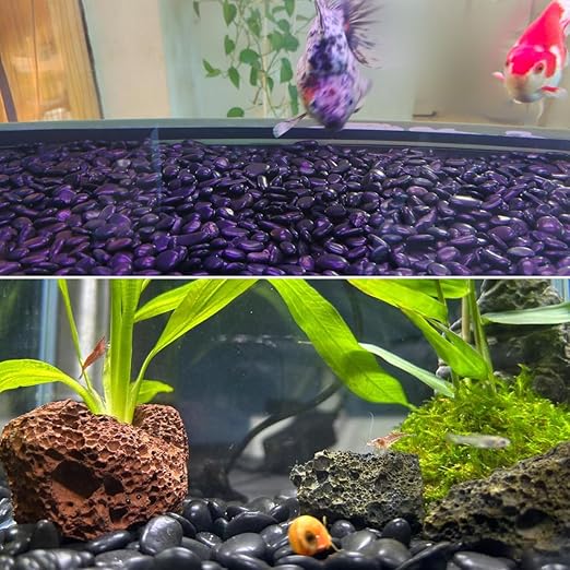 Natural Polished Black River Rocks - 2-3 inch 20LB High Polished Decorative Pebbles, Polished Stones for Landscaping, Natural River Rocks for Outdoor Decor, Polished Pebbles for Plants.