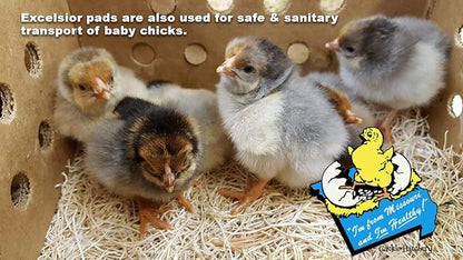 Cackle Hatchery Laying Hen Nest Box Pads Made in USA from Sustainable Aspen Exceslior - 13x13 Nesting Box Liners (12 Pack)