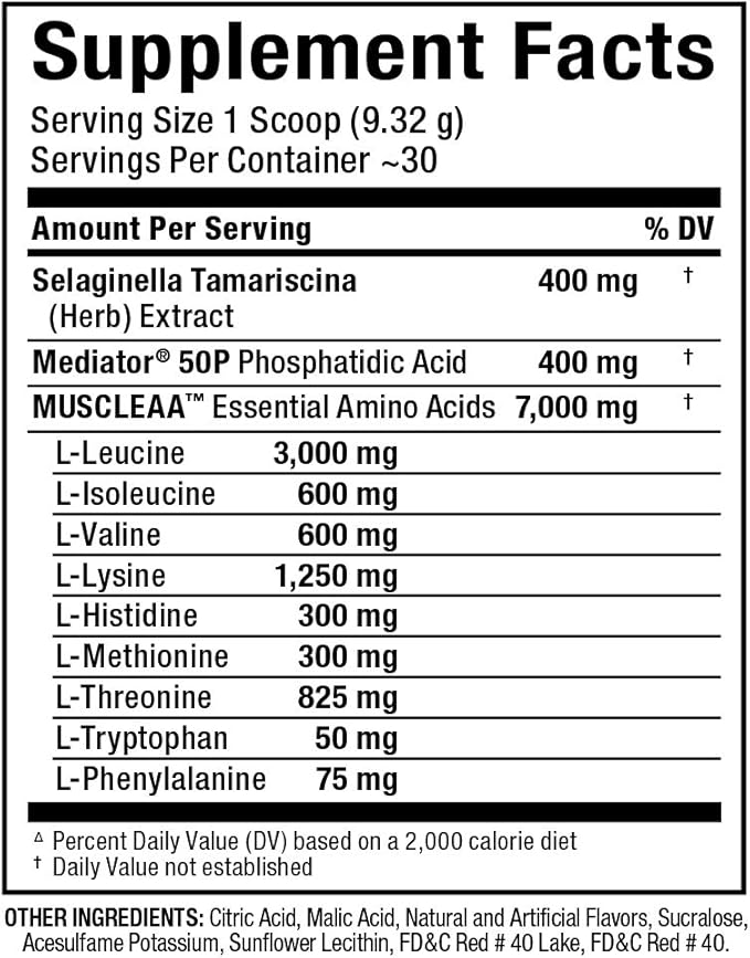 ALLMAX Nutrition - MUSCLEAA, Amino Energy for Strength and Muscle gain, Supports Hydration, Stamina and Exercise Performance, Formulated with 7000mg EAAs and 4200mg BCAAs (Candy Keys)