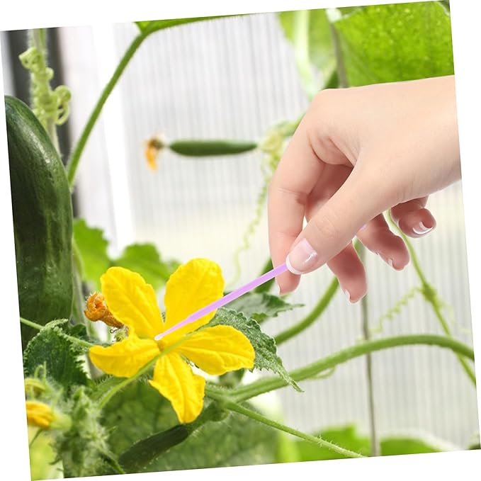 Pcs Pollinator Tool for Fruit Vegetable Pollination Easy Hand Pollination for Farmers Gardeners