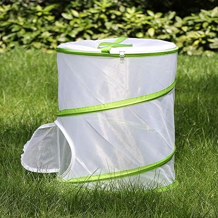 RESTCLOUD Insect and Butterfly Habitat Cage Terrarium Pop-up 12" x 14" Tall
