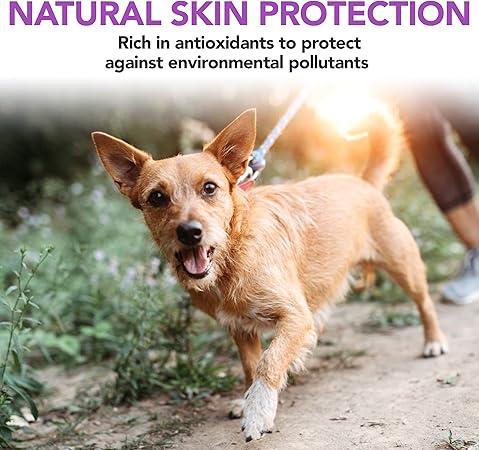 Vets Best Brewers Yeast  Garlic Chews, Omega 3 for Dogs Healthy Skin  Coat Protection for Dogs, Dog Formulated with Veterinary Recommended Dosage, Garlic Supplements, 60 ct