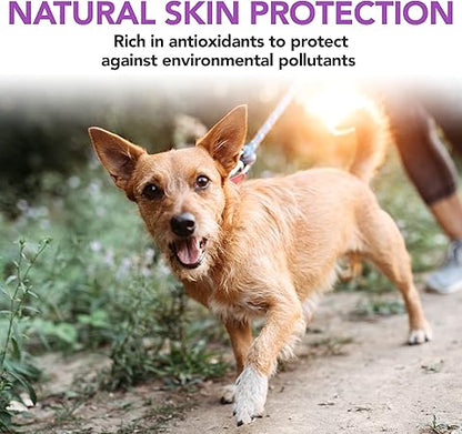Vets Best Brewers Yeast  Garlic Chews, Omega 3 for Dogs Healthy Skin  Coat Protection for Dogs, Dog Formulated with Veterinary Recommended Dosage, Garlic Supplements, 60 ct