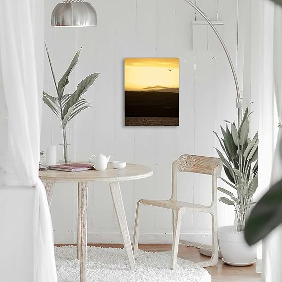 Bathroom Wall Art Decor Bathroom Pictures for Wall Artwork Bird the sky Framed Canvas Wall Art for Bedroom Dining Room Farmhouse 16"x20"