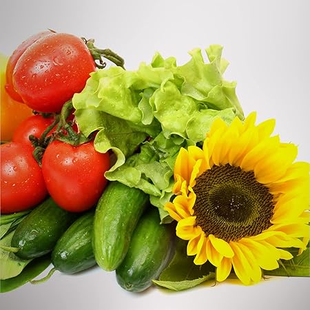 AeroGarden Grow Anything Seed Pod Kit (6 pod), Model Number: 806528-0208