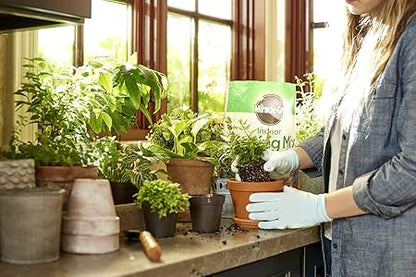 Miracle-Gro Indoor Potting Mix, Blended for a Variety of Houseplants, Feeds for up to 6 Months, 6 qt.
