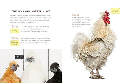 How to Speak Chicken: Why Your Chickens Do What They Do  Say What They Say