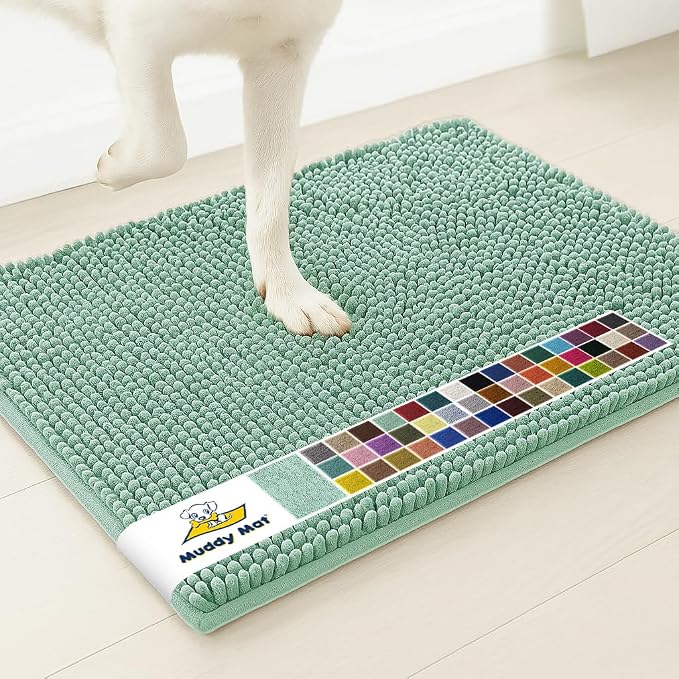 Muddy Mat® | Super Absorbent Door Mat Indoor, Microfiber Quick Dry Chenille Entryway Rug, Non-Slip Front Door Mat, Indoor Mats for Entryway, Machine Washable Pet Rug, Seafoam Green 30"x19"