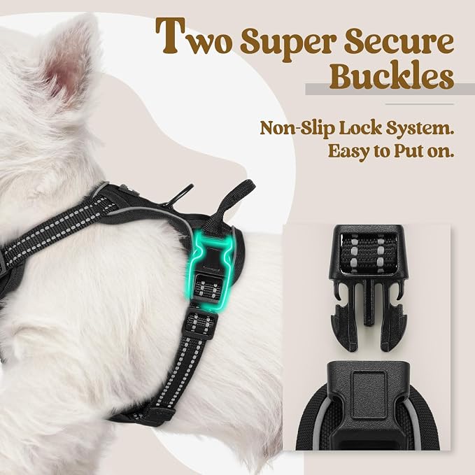 rabbitgoo Dog Harness No Pull with 2 Leash Clips, Adjustable Soft Padded, Reflective Oxford No Choke Pet Vest with Easy Control Handle for Puppy, Black, XS