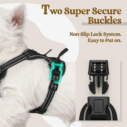 rabbitgoo Dog Harness No Pull with 2 Leash Clips, Adjustable Soft Padded, Reflective Oxford No Choke Pet Vest with Easy Control Handle for Puppy, Black, XS