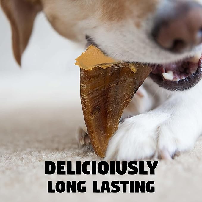 Downtown Pet Supply Dog Bones - Cow Hooves for Dogs Made in USA - Dog Dental Treats  Rawhide Free Dog Chews - Bully Sticks Alternative - Dog Chew Bones - Grass-Fed Beef Hooves - Plain - 10 Pack