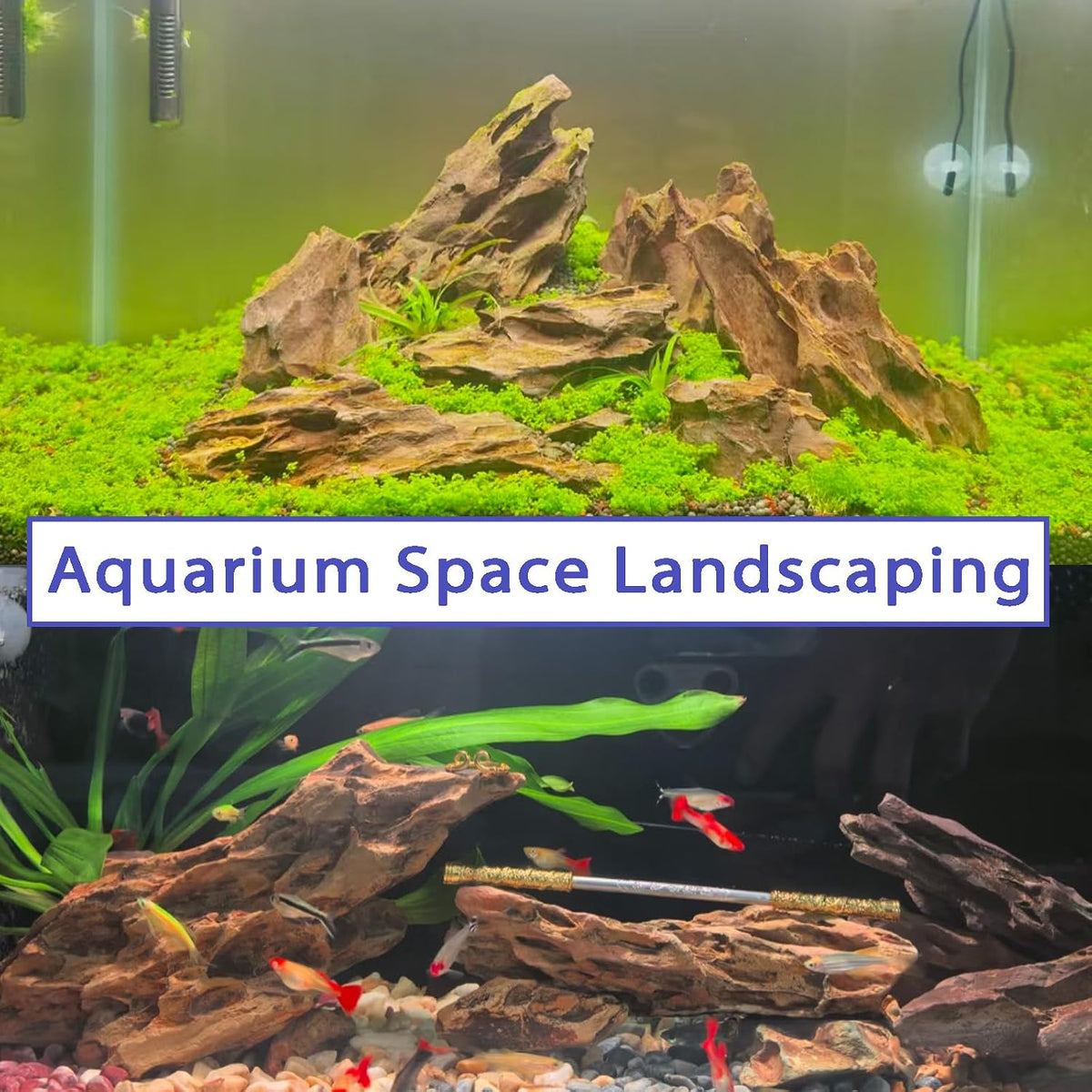 Aquarium Rocks Dragon Stone 2-4 inches Fish Tank Rocks for Aquariums,Tank Decoration,Terrarium Aquascaping Vivariums Paludarium Amphibian Enclosures-5lb