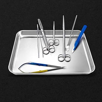 QWORK 2 Pack Stainless Steel Surgical Tray, for Medical Instruments, Tattoo, Surgical Supplies, 10 58" x 6 1116" x 1", Flat Bottom Tray