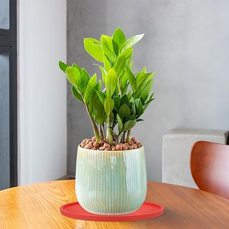 PATIKIL 6 Inch Round Ceramic Plant Saucer, Plant Saucer Tray Flower Planter Drip Tray for Indoors Outdoors Patio Balcony, Terracotta