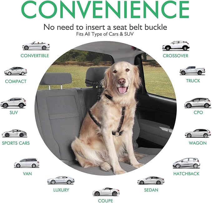 Dog Seat Belts for Car