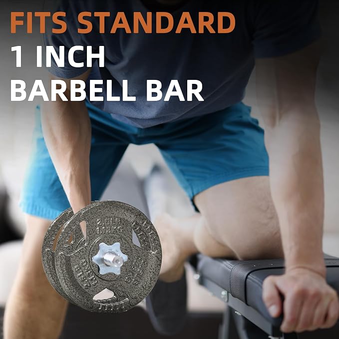 Fitvids Cast Iron 1-Inch Standard Weight Plate for Strength Training & Weightlifting, Multiple Weights Available