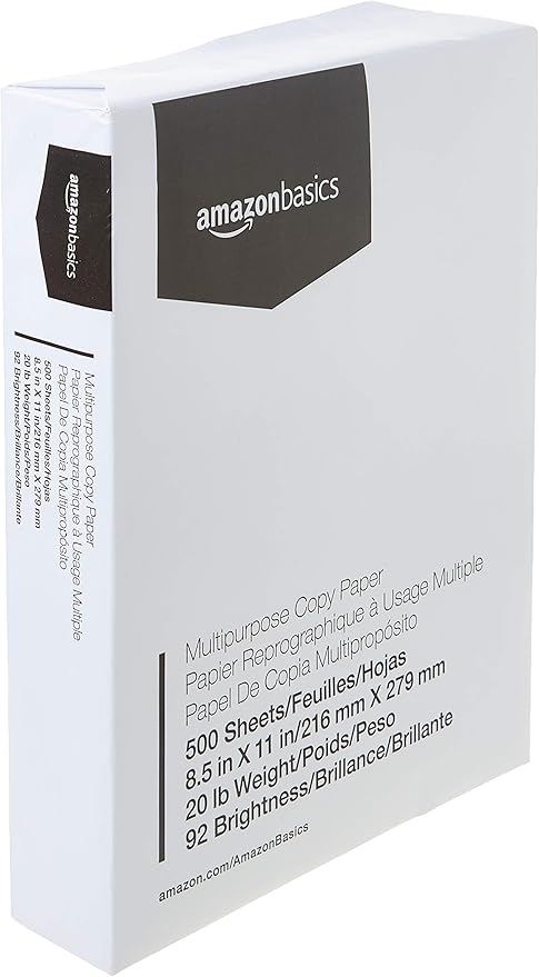 Basics Multipurpose Copy Printer Paper, 8.5 x 11 inches, 20 lb, 1 Ream, 500 Sheets, 92 Bright, White
