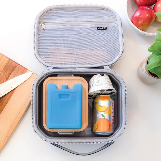 Igloo Maxcold Ice Blocks, Reusable