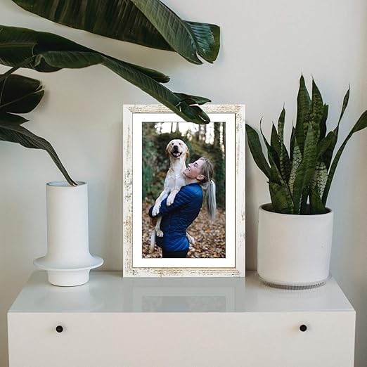 Capcillin 11x17 Picture Frame Wood Pattern Distressed White Poster Frame Set of 1, Wall Mounting,Plexiglass,Great for Prints, Mural,and Art(CP003-MD11x17-RW)