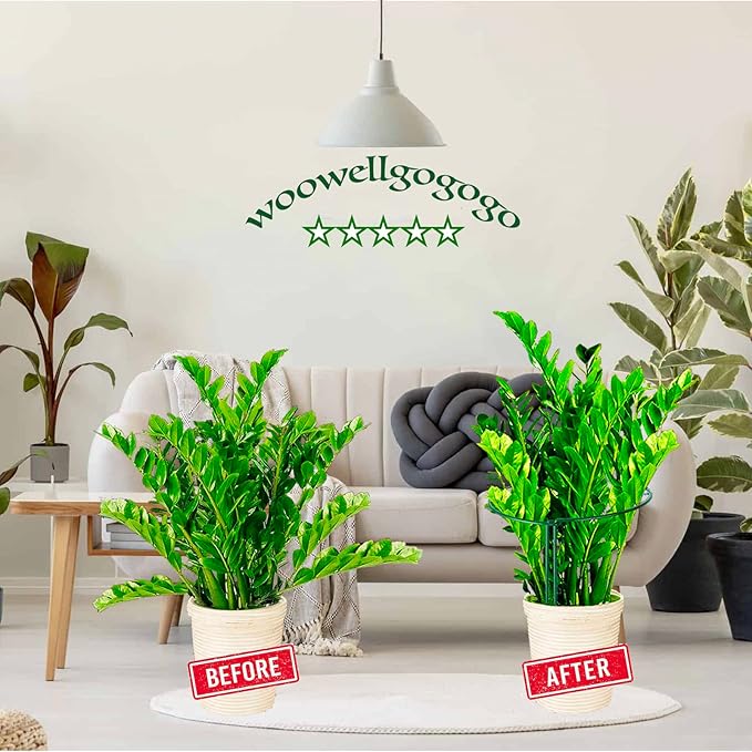 8-Pack Snake Plant Support Stakes - Strong, Rust-Proof Plant Cages - Ideal for Hydrangeas, Peonies, and More - Indoor and Outdoor Plant Support and Stakes Kit