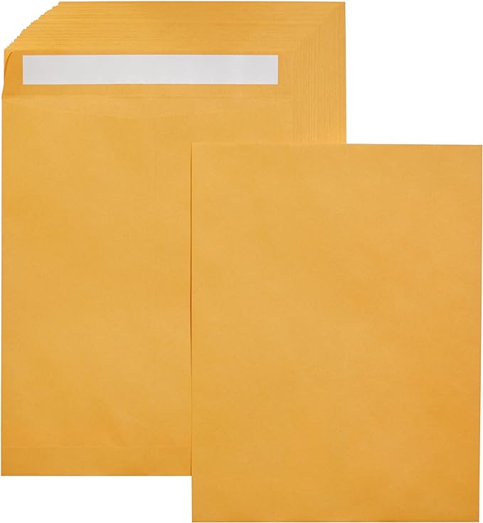 Basics Catalog Mailing Envelopes, Peel and Seal, 10x13 Inch, Brown Kraft, 100-Pack
