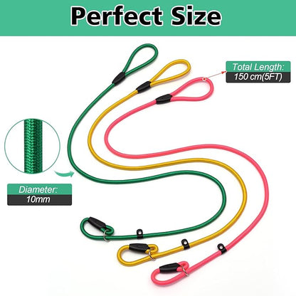 6 - Piece Set! Premium No - Pull Slip Lead Dog Leashes - 5FT Heavy - Duty Rope for Small  Medium Dogs in a Vibrant 6 - Color Collection