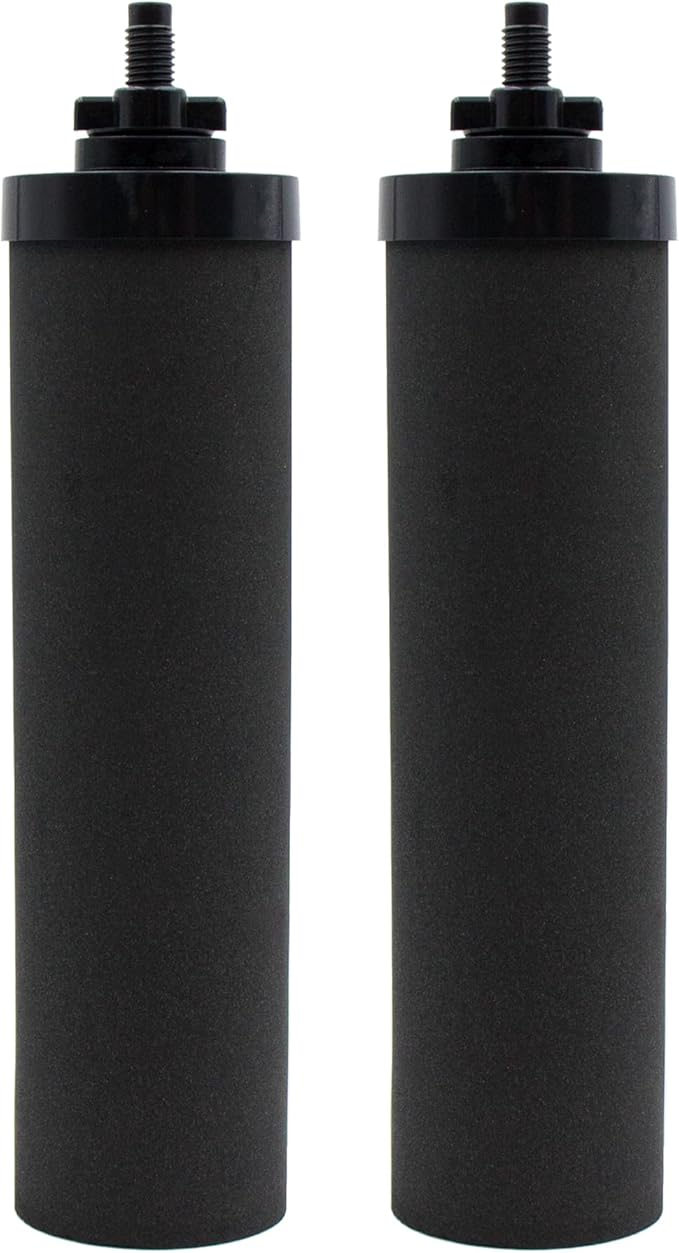Water Filter Replacement for Berkey BB9-2 Black Activated Carbon Filters, Compatible with Berkey Gravity Water Filter System, Pack of 2