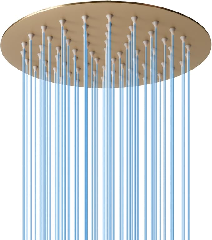 8 Inch Rain Shower Head, BSTIIU High Flow Stainless Steel Round Rainfall ShowerHead, High Pressure Overhead Shower Heads, Wall  Ceiling Mount Ultra Thin Stainless Steel Shower Head, Brushed Gold