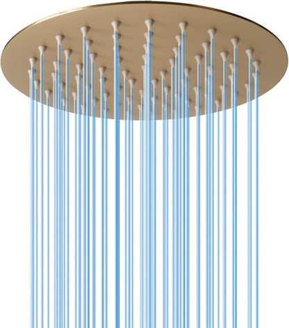 8 Inch Rain Shower Head, BSTIIU High Flow Stainless Steel Round Rainfall ShowerHead, High Pressure Overhead Shower Heads, Wall  Ceiling Mount Ultra Thin Stainless Steel Shower Head, Brushed Gold