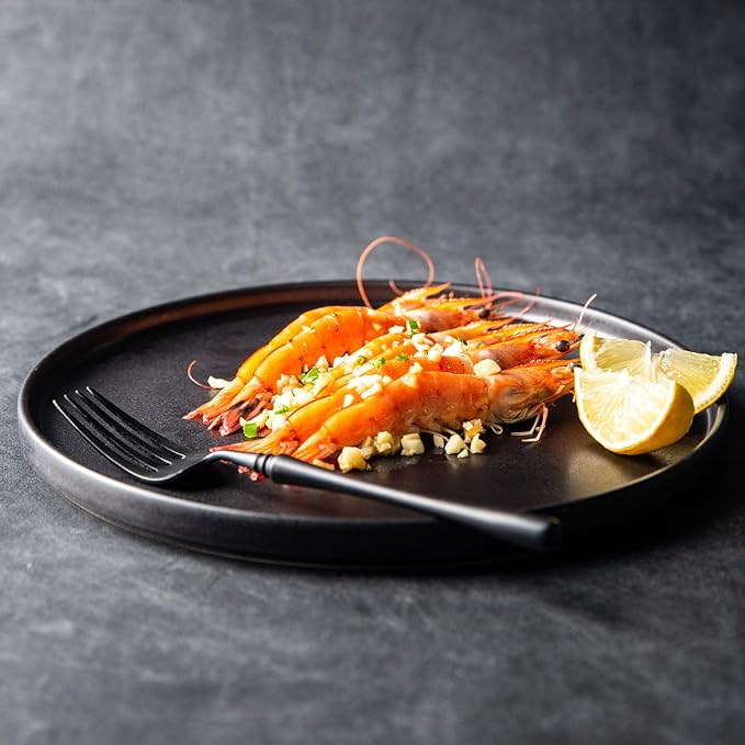 AmorArc Ceramic Dinner Salad Plates Set of 4, 8.5 Inch Reactive Matte Glaze Dish Set, Dessert, Salad, Appetizer, Small Dinner Plate, Microwave, Dishwasher Safe,Scratch Resistant,Reactive Matte Black