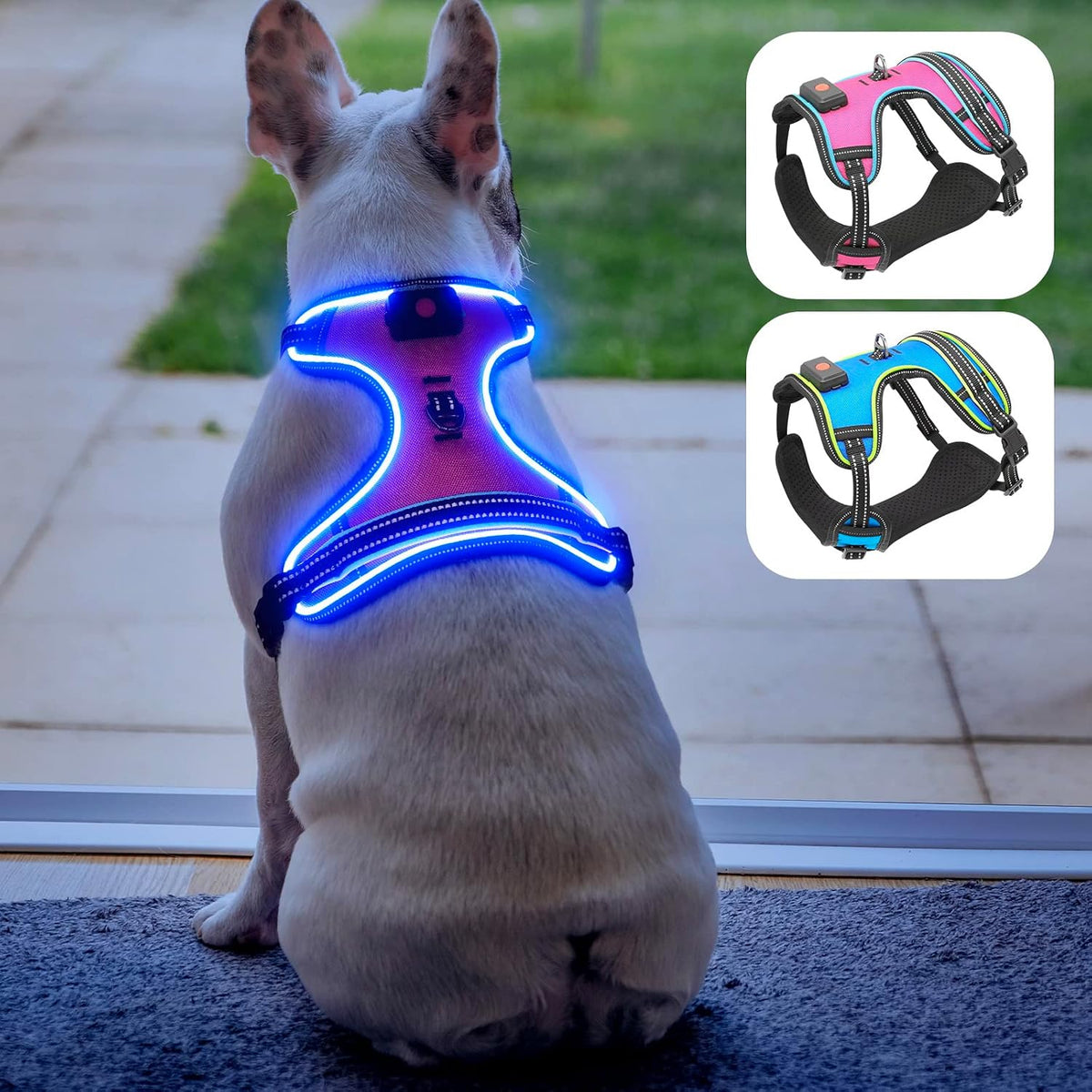 Safety LED Dog Harness - Light Up Dog Vest, No-Pull Dog Harness - Rechargeable Glowing Pet Harness for Night Walking & Camping (Purple+pink Light, Small)