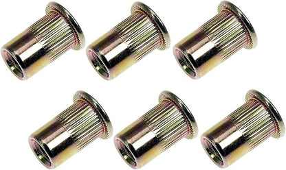 Dorman 963-254D: Rivet Nut - M6
