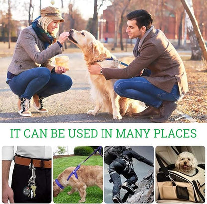 Double Ended Bolt Snap Hooks, Stainless Steel Double End Heavy Duty Trigger Snaps for Water Bucket/Dog Leash/Pet Feed Bucket/Pet Hammock and More, Pack of 6(3.5inch,Silver)