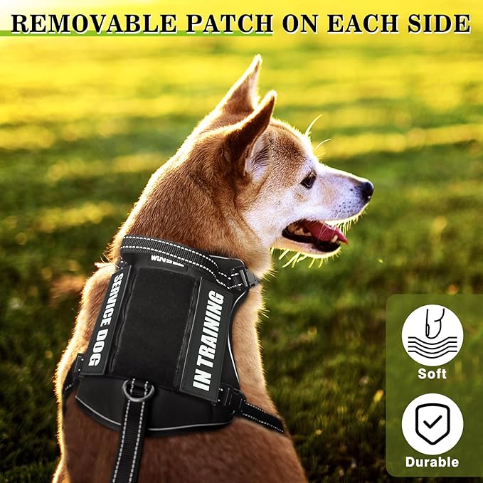 WINSEE Service Dog Patches for Dog Harness (2 pcs, L)