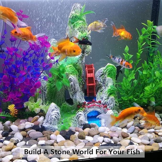 2lbs Black Pebbles for Plants, 1-2 Inch High Polished Natural River Rocks for Landscaping, Decorative Stones Vase Filler Fish Tank Aquariums Garden Outdoor and Indoor DIY