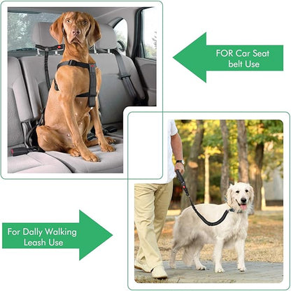 Dog Seat Belts for Car