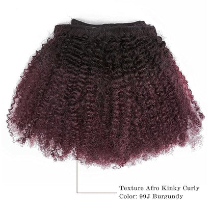 Ombre Remy Clip in Human Hair Extensions Afro Kinky Curly For Black Women 4A 4B 100 Human Hair Clip ins Two Tone 1B99J Burgundy Wine Red Full Head (10 inch,T1B99J AC)