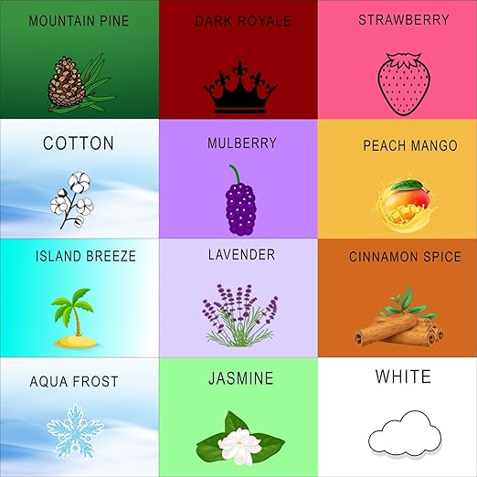 Wonder Wafers Car Air Freshener Wafers Variety Pack of 12 - Individually Wrapped Car Air Fresheners - 12 Scents Car Fresheners (12 Pack 12 Scents)