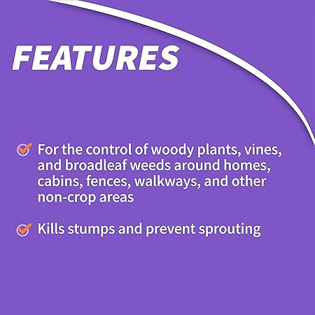 Bonide 2746 Stump  Vine Killer Concentrate, 8 oz Stumps and Vines Without harming Turf. Contains Brush Easy Application. Kills Oak, Poison Ivy and More, 1