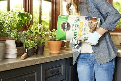 Miracle-Gro Indoor Potting Mix, Blended for a Variety of Houseplants, Feeds for up to 6 Months, 6 qt.