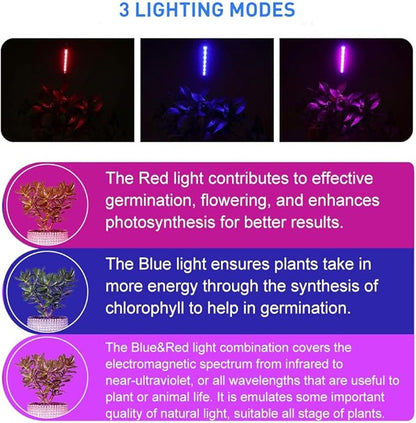 LED Grow Lights for Indoor Plants 20 LED, Plant Growing Lights Full Spectrum Auto ON Off with 3912H Timer, 9 Dimmable Lightness Clip-On Desk Grow Lamp Bulb