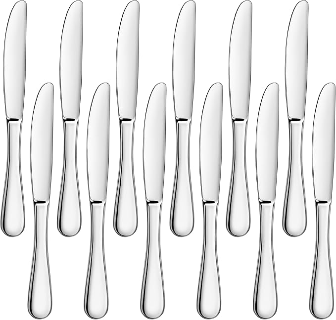 Artaste Rain 1810 Stainless Steel (Silver (Set of 12), Dinner Knife (9.15-Inch))