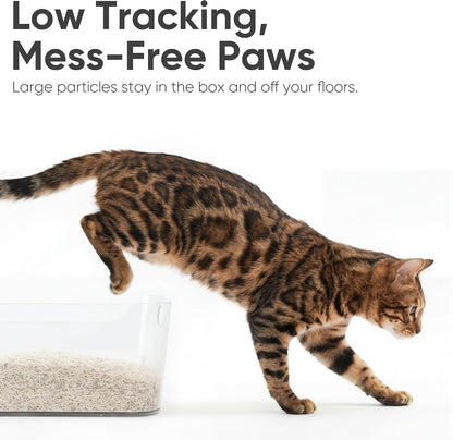 FUKUMARU Tofu Cat Litter, Strong Clumping Cat Litter Pellets, Effective Odor Control, Ultra Absorbent, Dust Free, Natural, Flushable, Lightweight, Low Tracking, White Tea, 6lb x 2 Bags