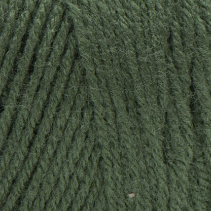 RED Heart E300.0406 Yarn, Solid-Medium Thyme