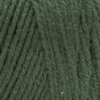 RED Heart E300.0406 Yarn, Solid-Medium Thyme
