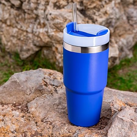 14 OZ tumbler with straw, Double Vacuum Stainless Steel Water Bottle for Home, Office or Car - Iced Coffee Cup Reusable,Thermos Travel Coffee Mug,Keep HotCold for Hours (Iris)