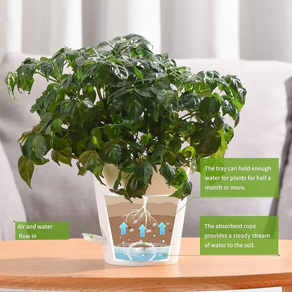 Plant Pots 6 PCS 5 inch Self Watering Planters High Drainage Flowers Pot for Indoor Outdoor Plants with Reservoir Tray and Watering Lip Gardening Planter Garden Flower Pots, White