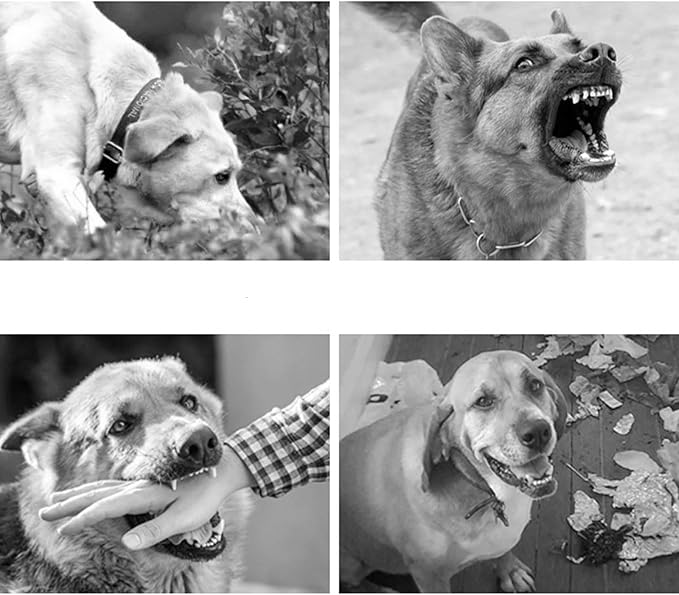 [New] Dog Muzzle for Small Dogs, Muzzl to Prevent Biting, Soft Muzzle with Reflective & Adjustable Strap,Breathable Dog Mouth Guard for Biting Chewing, Allow Panting Drinking (Black,S)