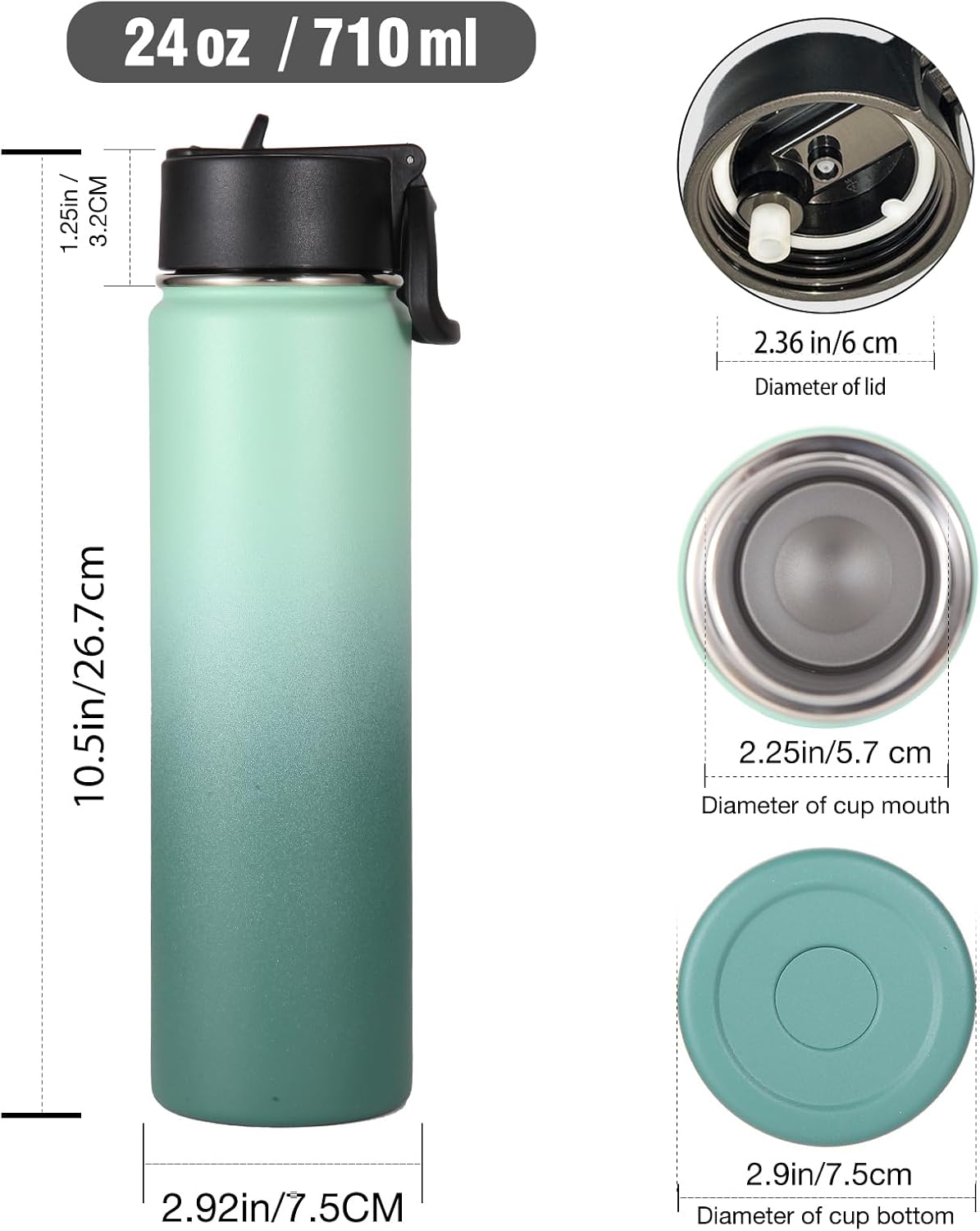 24 Ounce Insulated Water Bottle With Straw Lid,Stainless Steel Wide Mouth Sport Bottles With Handle,Double Wall Vacuum Cups keep Cold,Reusable Travel Thermal Cups For Holder,Gym(Mojito,1)