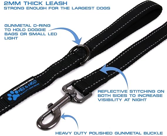 Max and Neo Reflective Nylon Dog Leash - We Donate a Leash to a Dog Rescue for Every Leash Sold (Purple, 6x1)